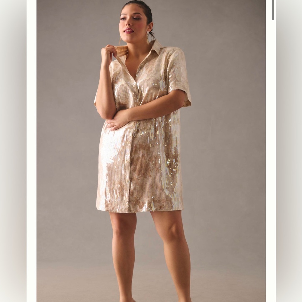 Anthropologie Pilcro Sequin Shirt Dress